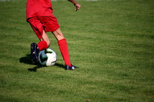 爱游戏大厅官网-中超球队球员年龄结构，中超球队平均年龄