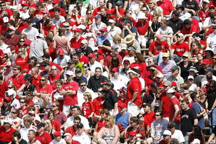 AYX官网-体育赛事观众行为特征与管理对策，观众对体育赛事的意义